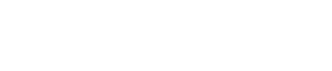 Capital-Informatique